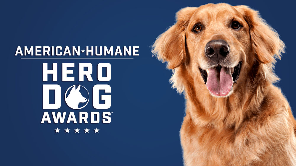 American Humane Hero Dog Awards